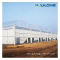 Hot sale low cost high quality mushroom greenhouse